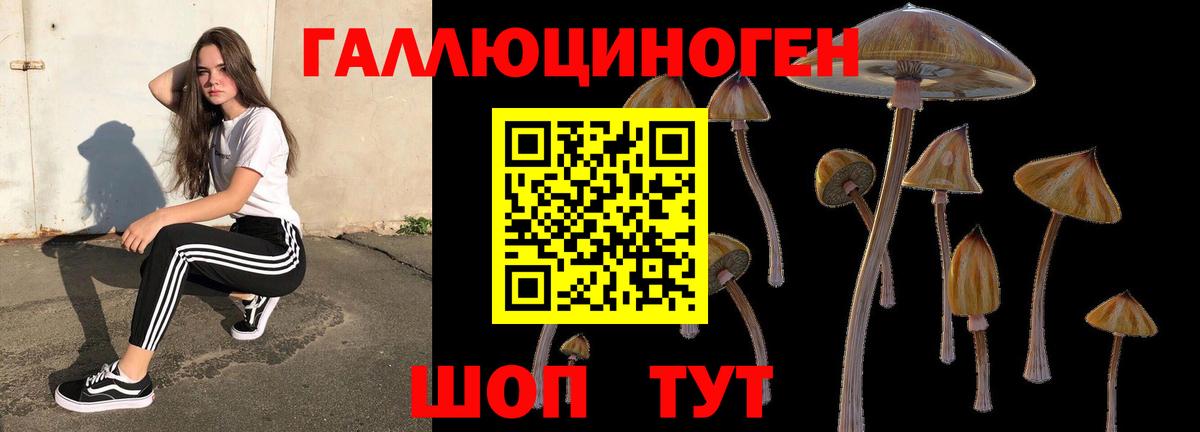 Галлюциногенные грибы Psilocybe  Вход с VPN  купить закладку  Архангельск  Галлюциногенные грибы ЛСД 